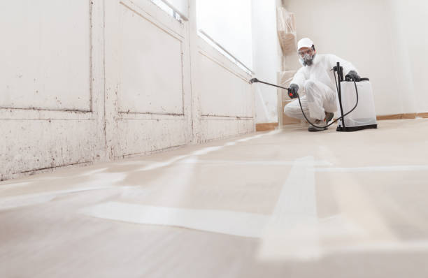 24/7 Emergency Basement Mold Remediation experts in Brentwood, TN
